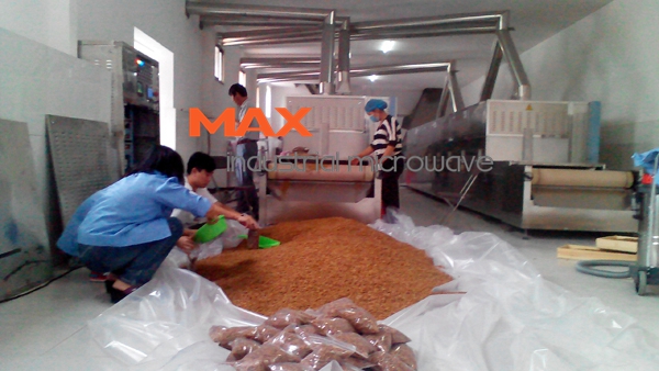 Microwave Conveyor Furnace Insects Dryer