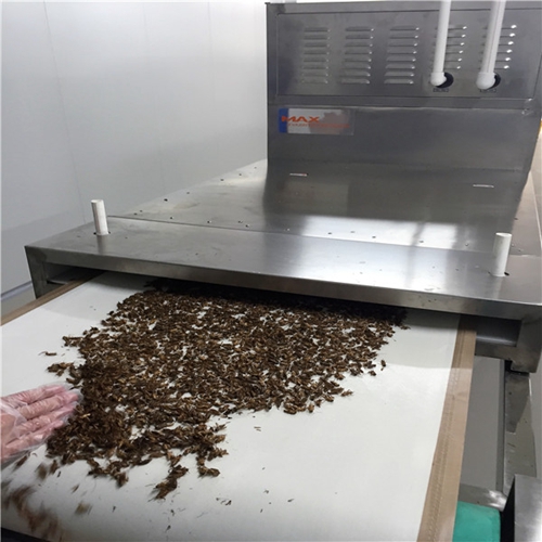 Microwave Drying Insects