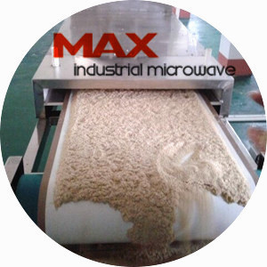 Rice Bran Microwave Drying and Pasteurization