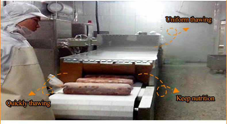Meat Defrost Machine