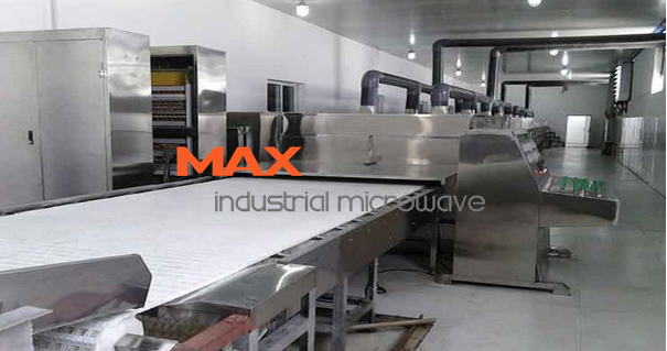 MAX Industrial Microwave