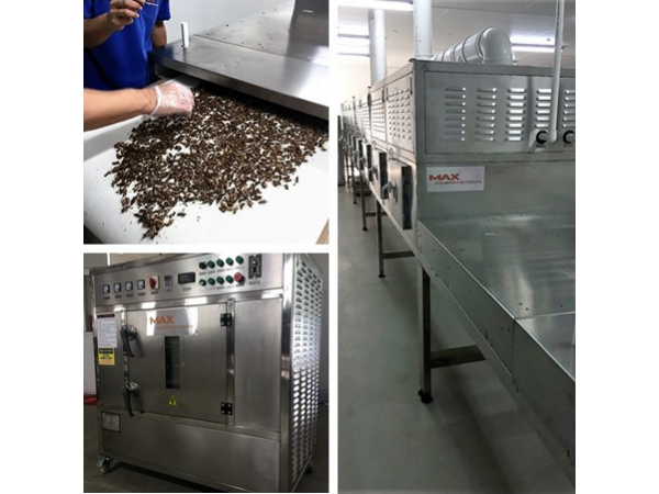 Microwave Drying Equipment for Insect and Bug