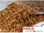 Mealworm Dryer