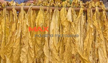 Tobacco Leaf Dryer