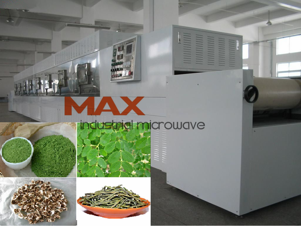 Moringa Leaves, Powder Drying Machine