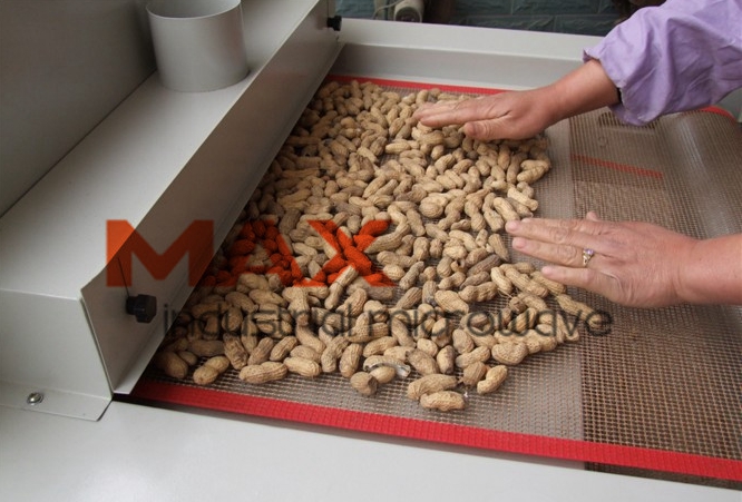 Microwave Nuts Roasting Machine