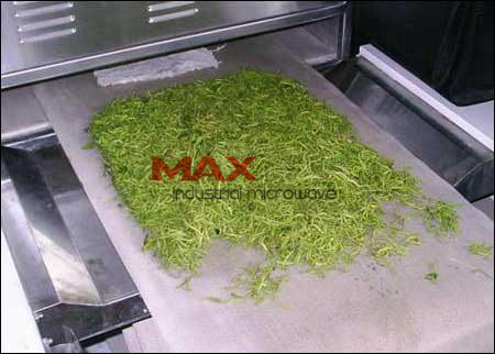 Green Tea Microwave De-enzyme