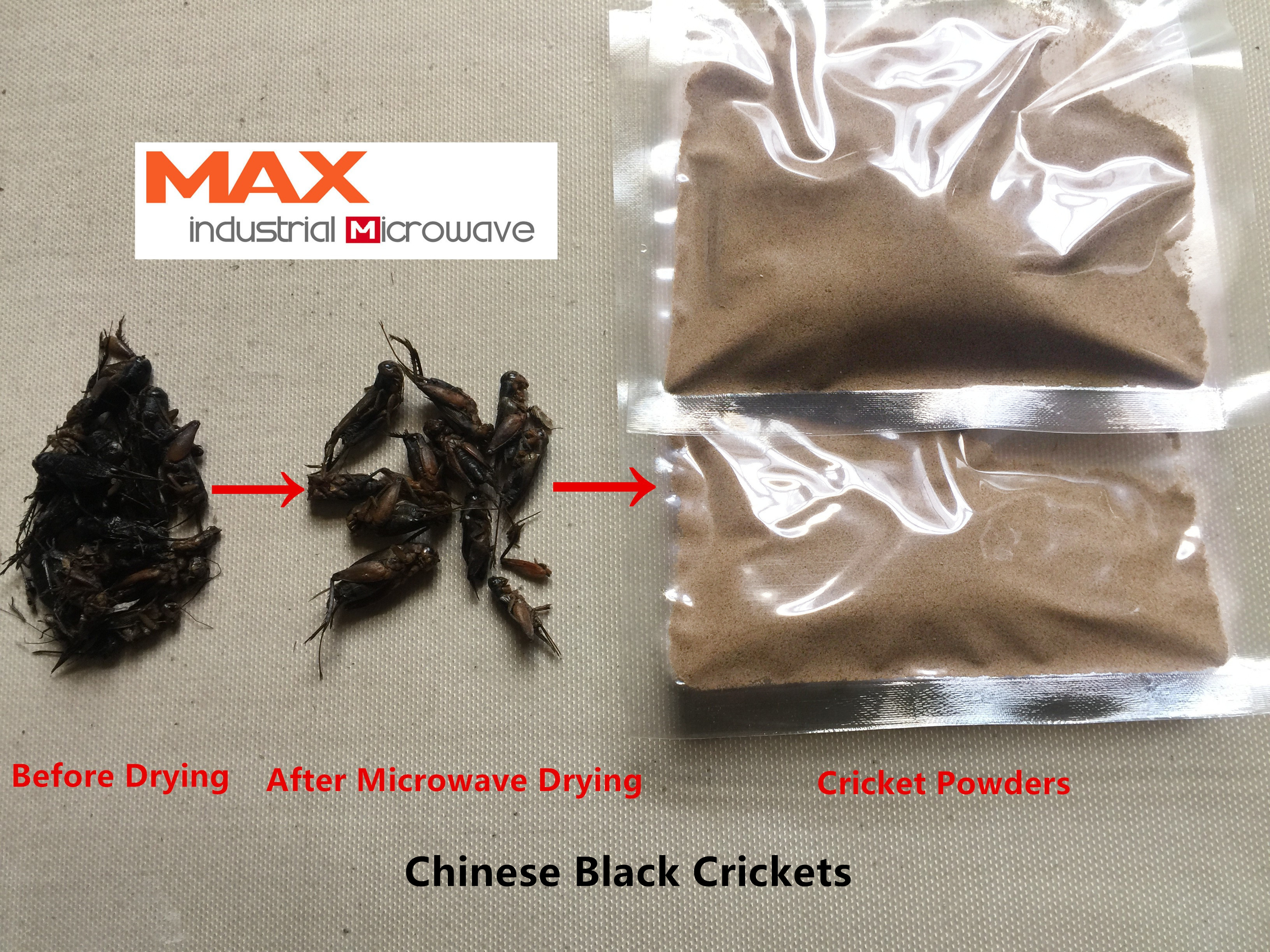 cricket flour