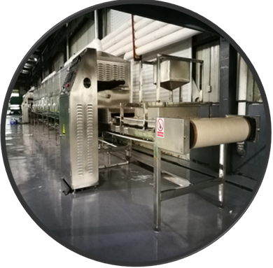 Microwave Tunnel Conveyor Machine