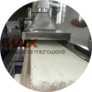 Microwave Kill Rice bugs and Larva