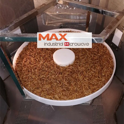 Mealworm Dryer