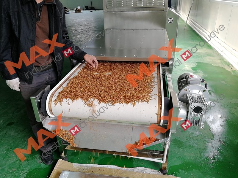 Mealworm Dryer