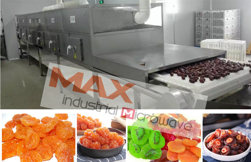 Microwave Fruit Drying Equipment/Drying Fruit Chips in Microwave