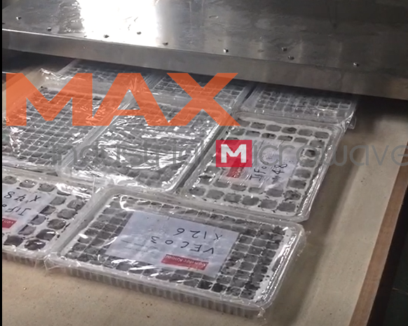 MAX Industrial Microwave Sterilize Soil