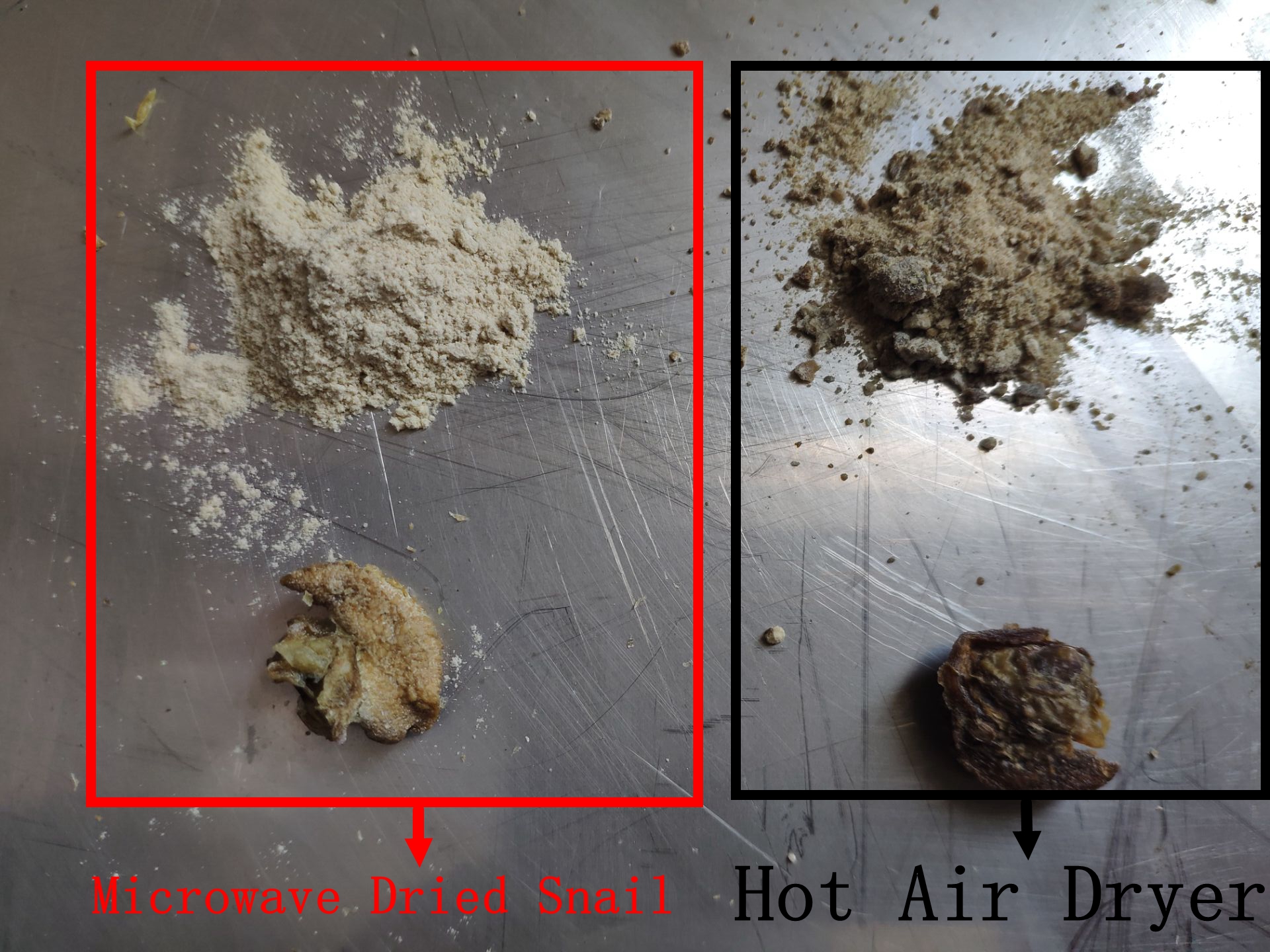 Microwave Dry Snail VS Hot Air Oven Dry Snail